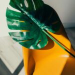 new-blog-01